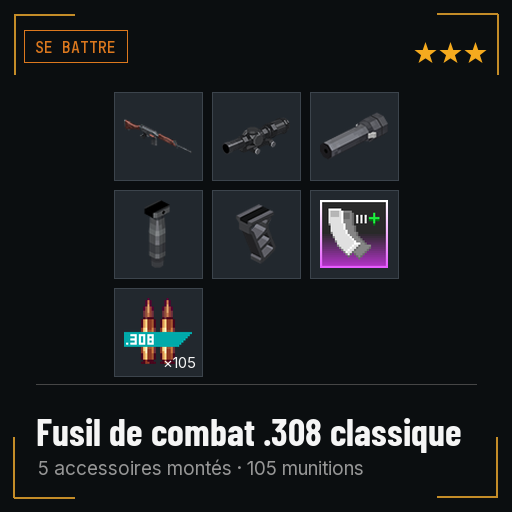 Fusil de combat .308 classique équipé