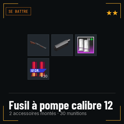 Fusil à pompe calibre 12 équipé