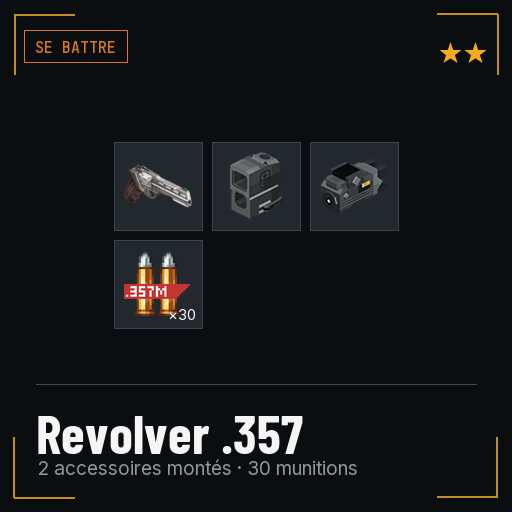 Revolver .357 équipé