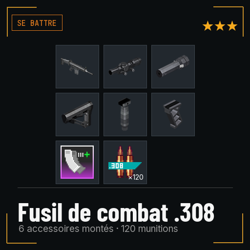 Fusil de combat .308 équipé