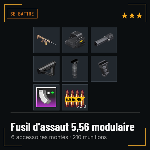 Fusil d'assaut 5,56 modulaire équipé