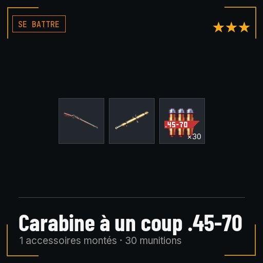 Carabine à un coup .45-70 équipée