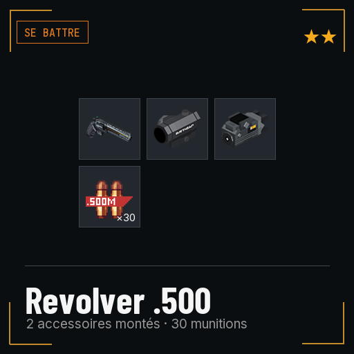 Revolver .500 équipé